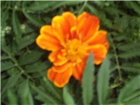 699912f5-Picture 022.jpg